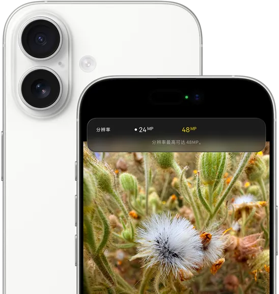 iPhone 17，背面外观展示机身圆角设计、左上角的融合式双摄系统和白色外观，正面外观展示灵动岛和机身圆角设计。