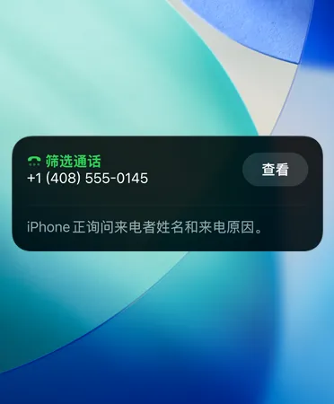 电话 app 显示正在使用通话筛选功能。