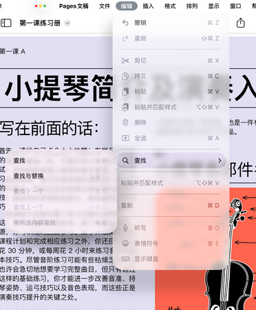 菜单栏的特写，展示撤销、重做、剪切、拷贝、粘贴等选项。