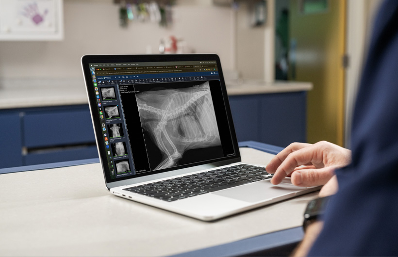 高清的 X 光片和超声影像可实时显示在 MacBook Air 上。