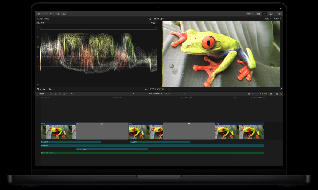 16 英寸 MacBook Pro，屏幕展示 Final Cut Pro 工作空间，画面是一只亮绿色青蛙趴在树叶上。
