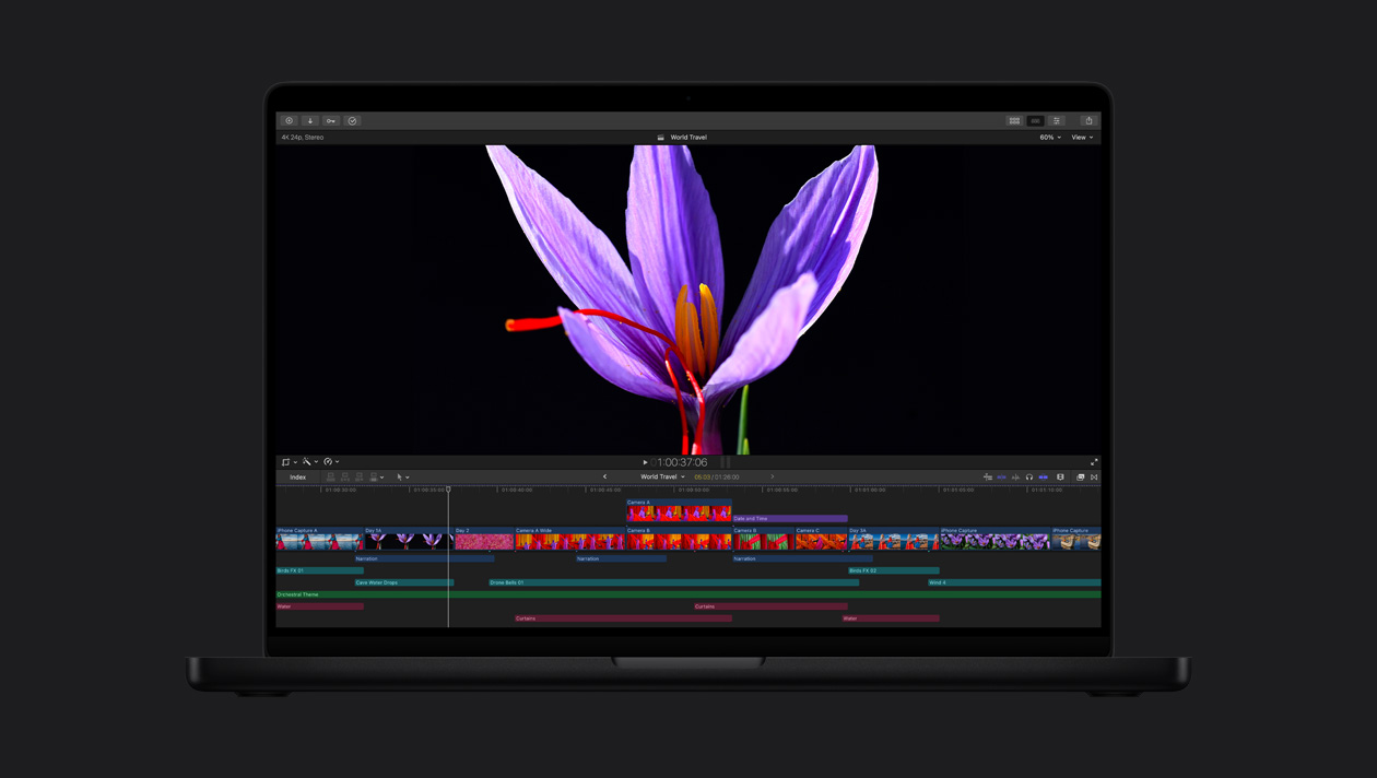 16 英寸 MacBook Pro 屏幕显示带有红色雄蕊的紫色花朵特写画面，以此展示 HDR 效果。