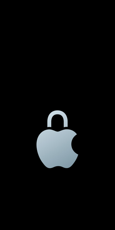 银色 Apple 标志，标志顶部的叶子被挂锁孔所取代。
